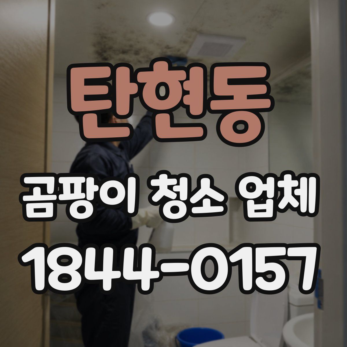 탄현동 곰팡이 청소 업체