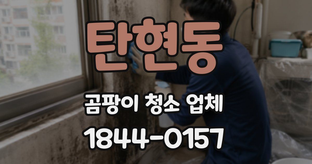 탄현동 곰팡이 청소 업체