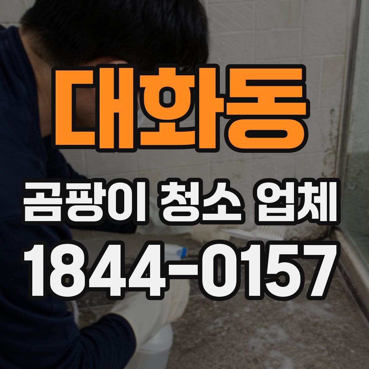대화동 곰팡이 청소 업체