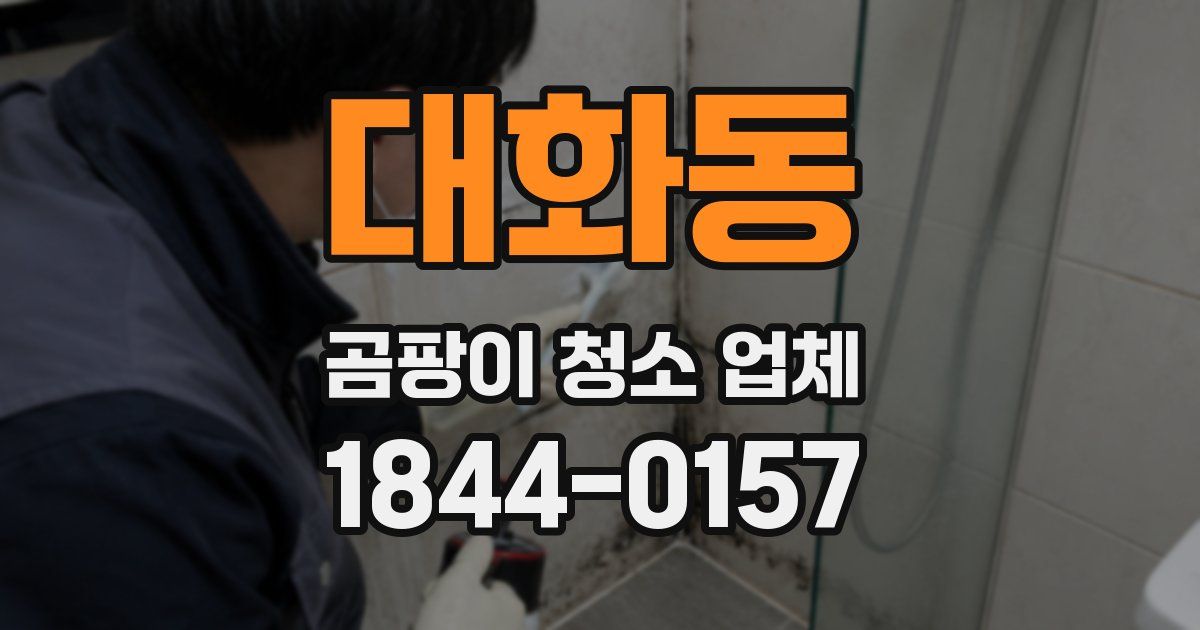 대화동 곰팡이 청소 업체