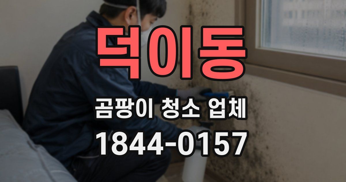 덕이동 곰팡이 청소 업체
