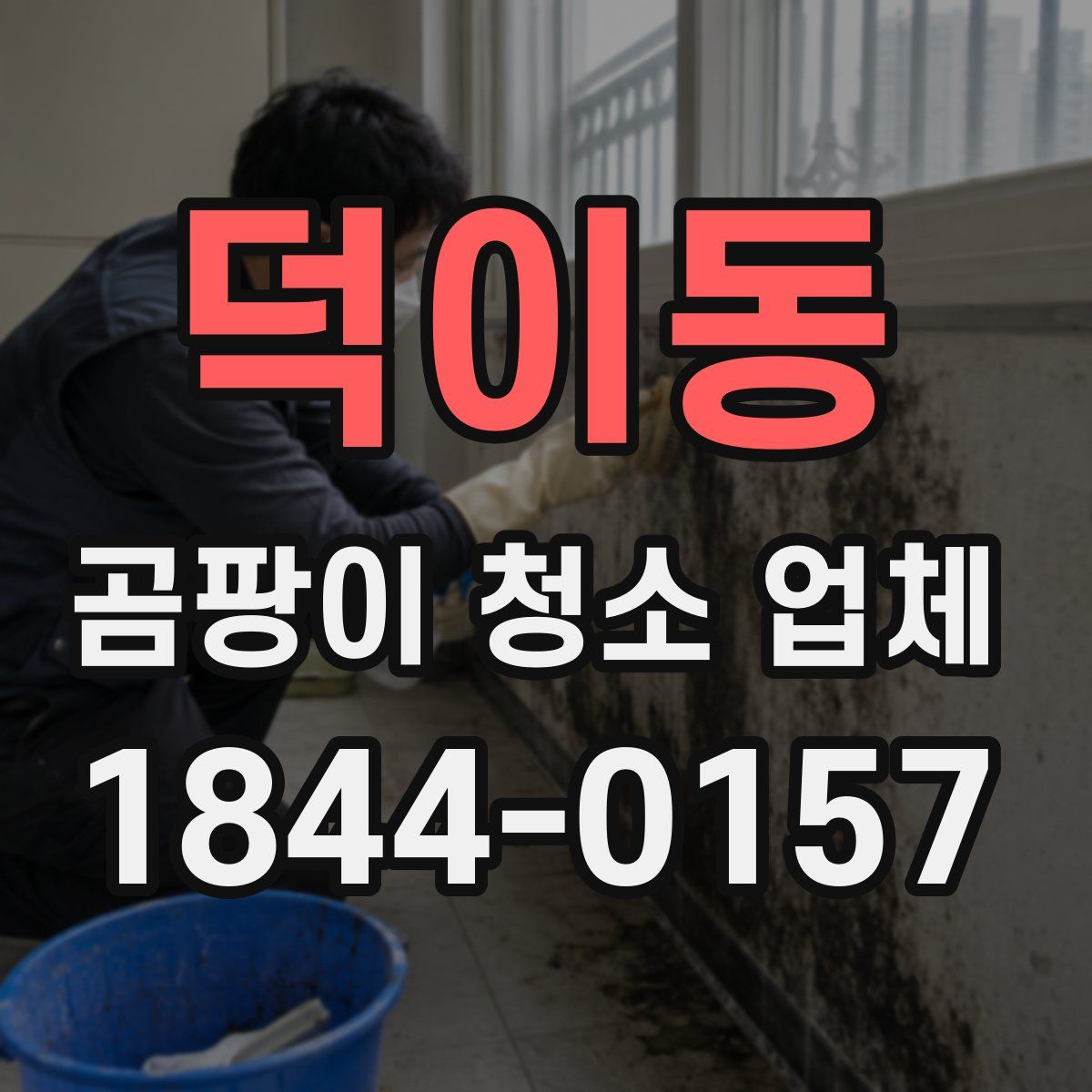 덕이동 곰팡이 청소 업체