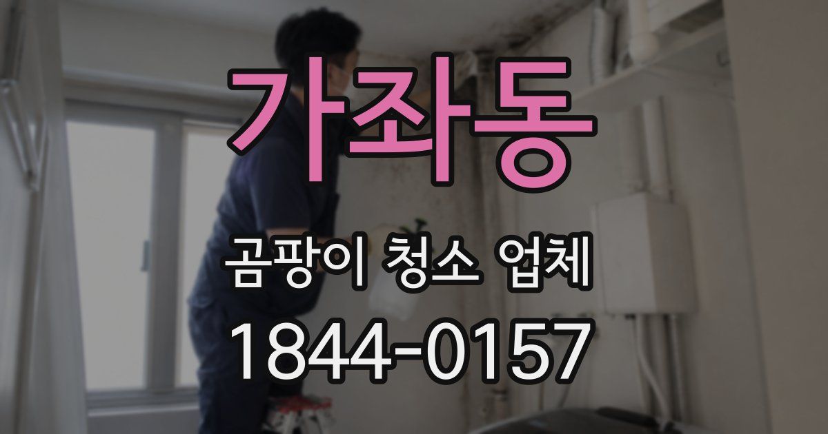 가좌동 곰팡이 청소 업체