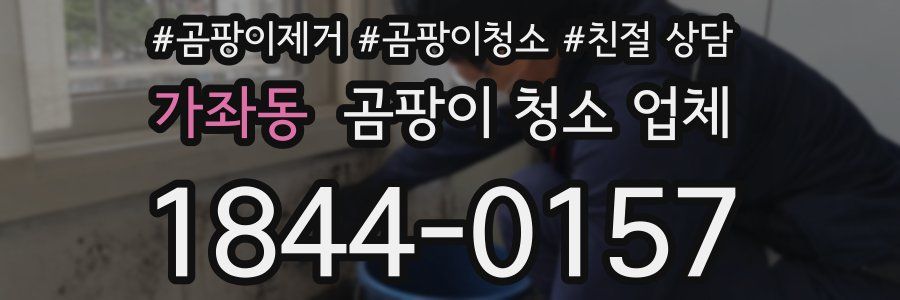 가좌동 곰팡이 청소 업체