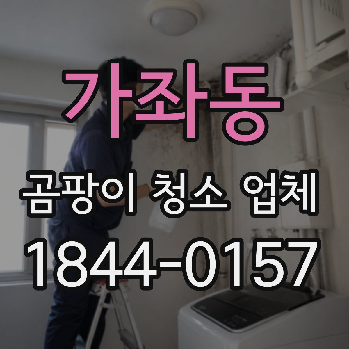 가좌동 곰팡이 청소 업체