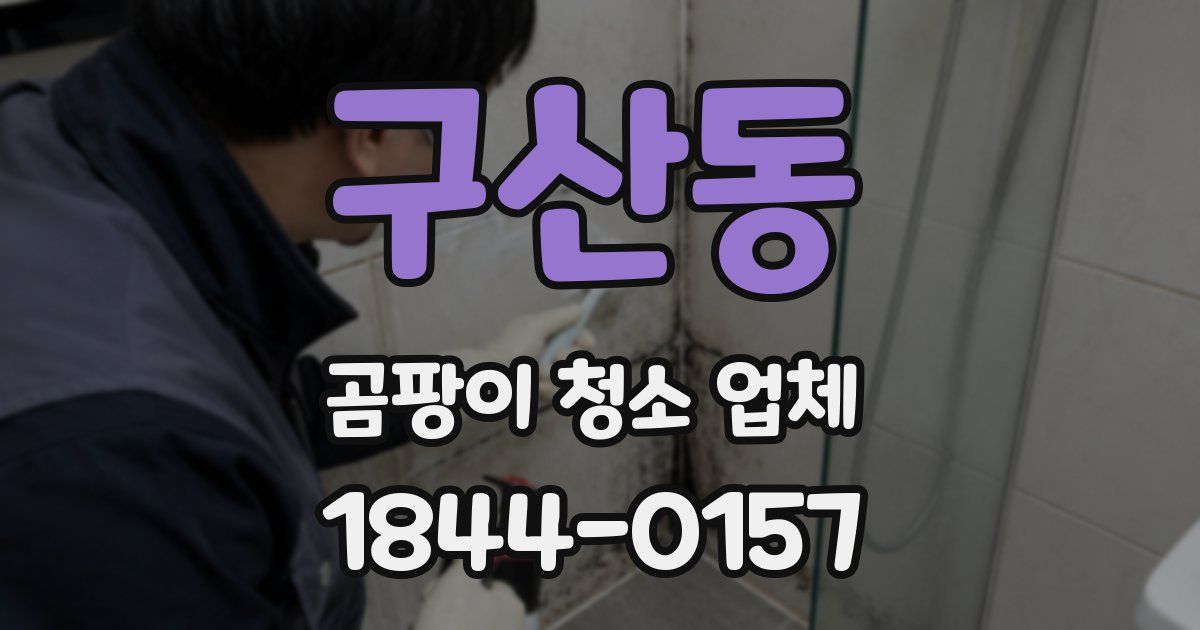 구산동 곰팡이 청소 업체
