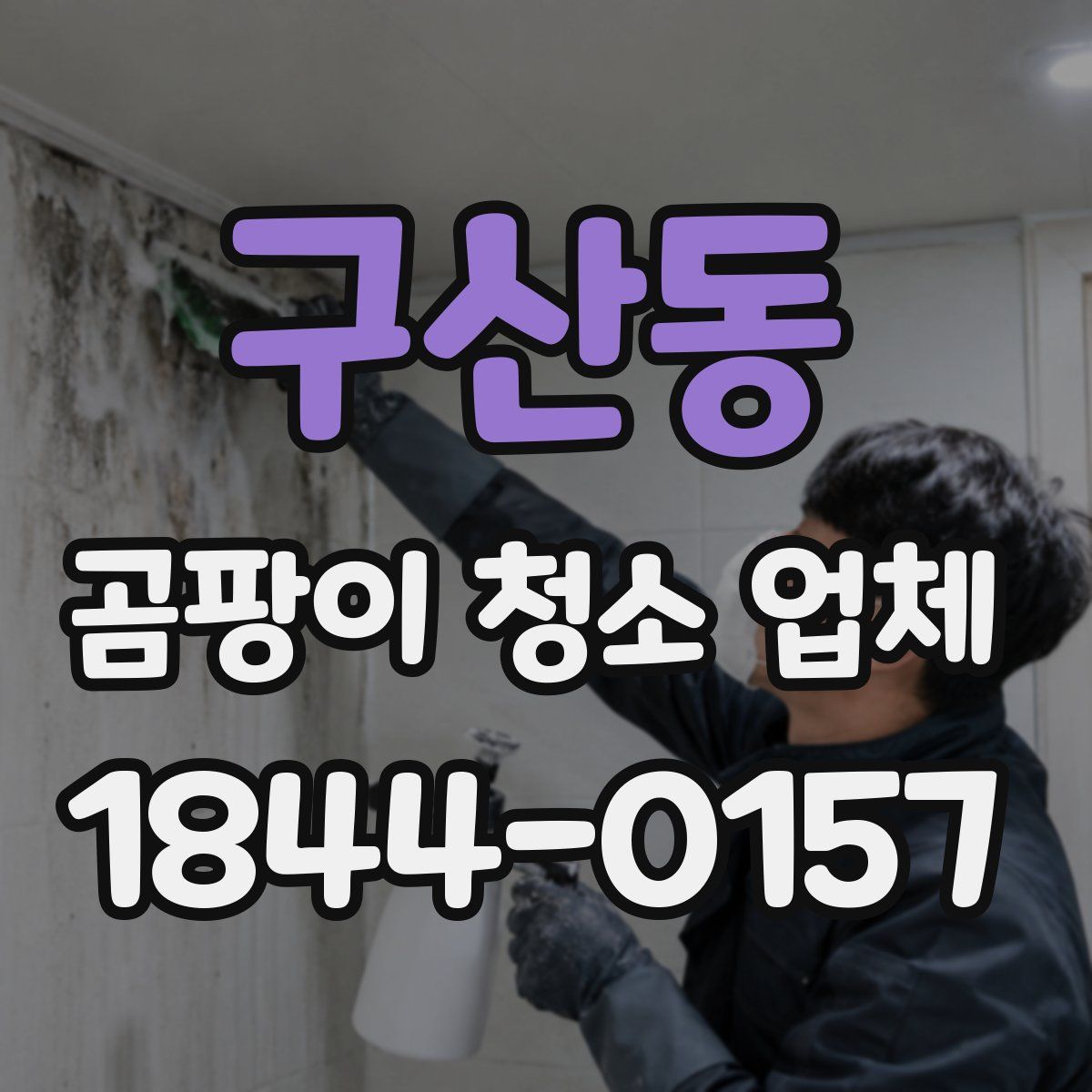 구산동 곰팡이 청소 업체