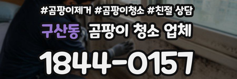 구산동 곰팡이 청소 업체
