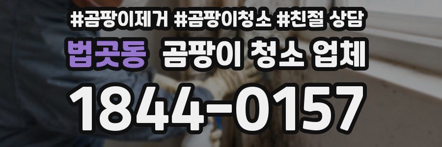 법곳동 곰팡이 청소 업체