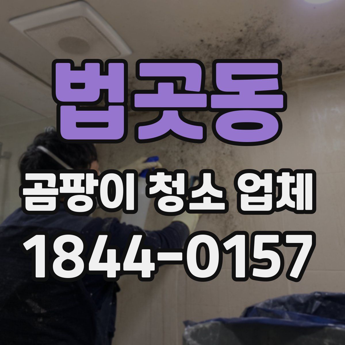 법곳동 곰팡이 청소 업체