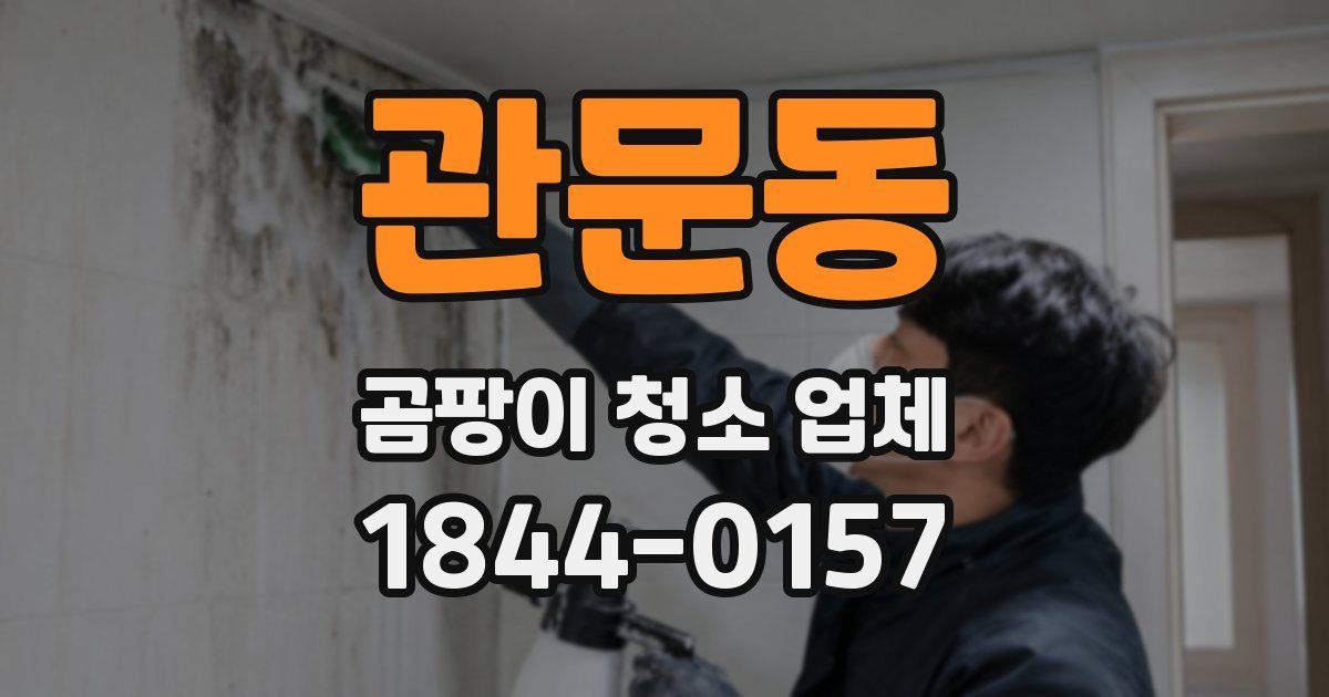 관문동 곰팡이 청소 업체