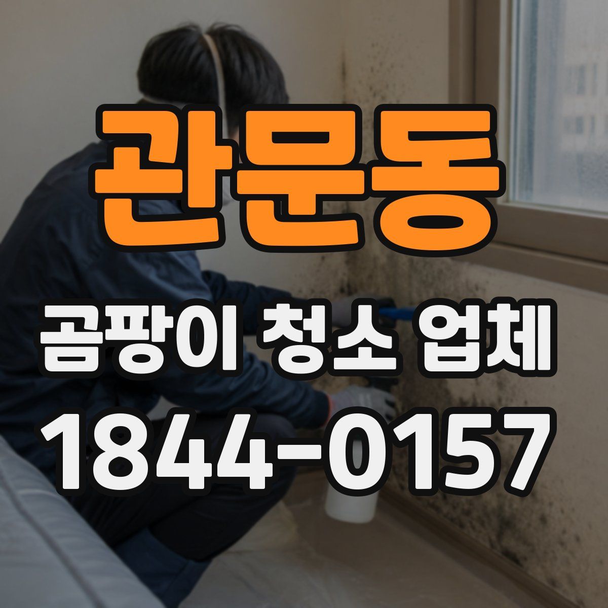 관문동 곰팡이 청소 업체