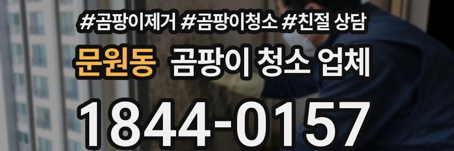 문원동 곰팡이 청소 업체