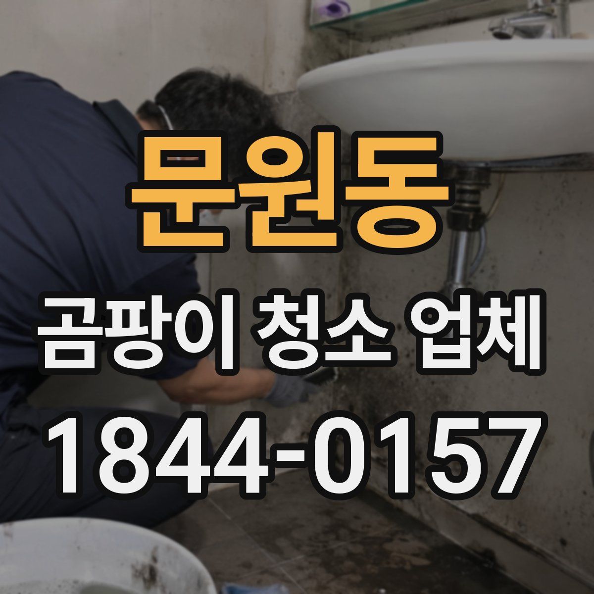 문원동 곰팡이 청소 업체