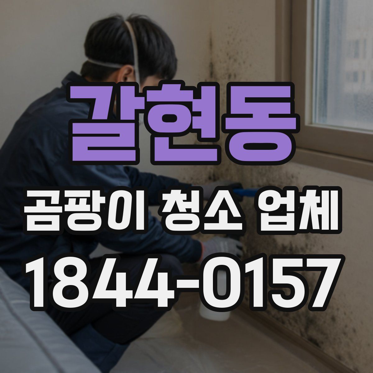 갈현동 곰팡이 청소 업체