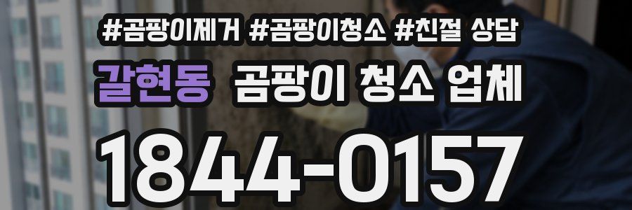 갈현동 곰팡이 청소 업체