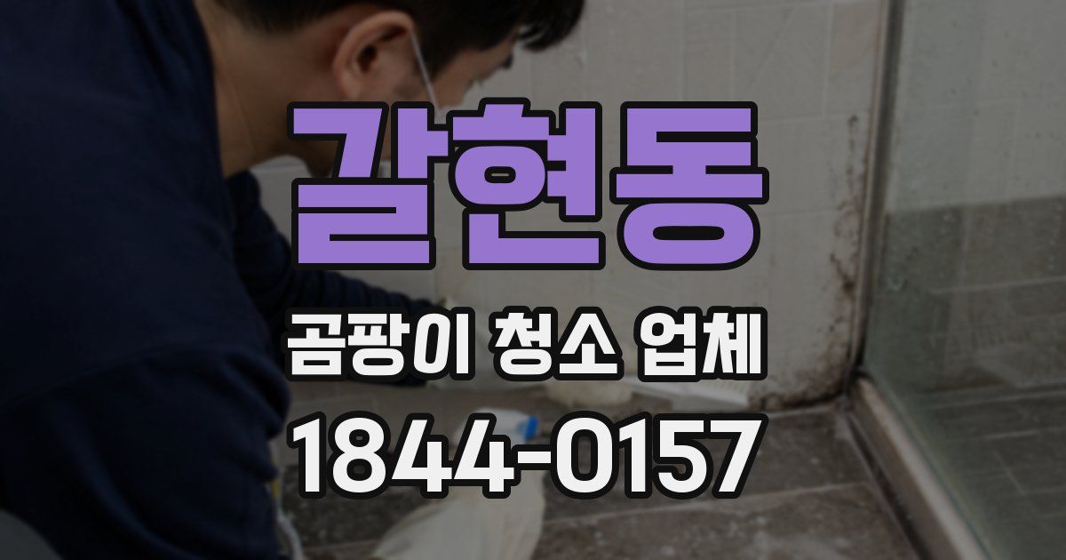 갈현동 곰팡이 청소 업체