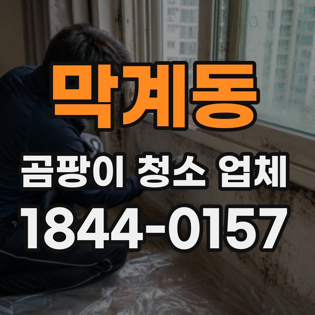 막계동 곰팡이 청소 업체