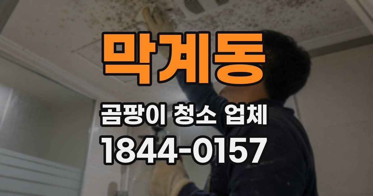막계동 곰팡이 청소 업체