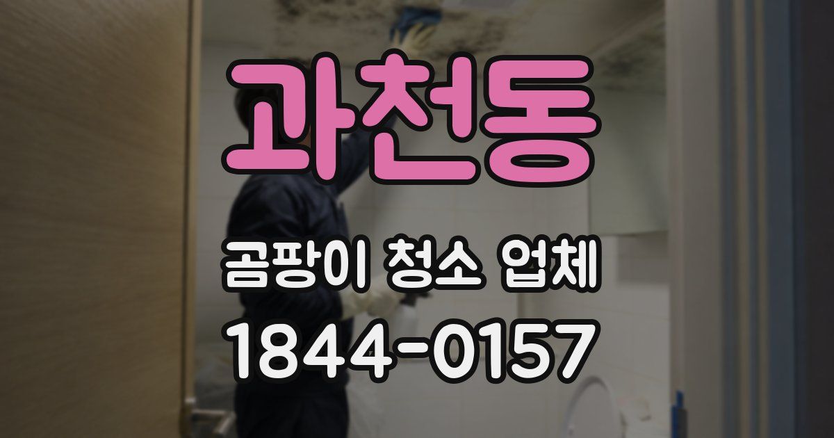 과천동 곰팡이 청소 업체
