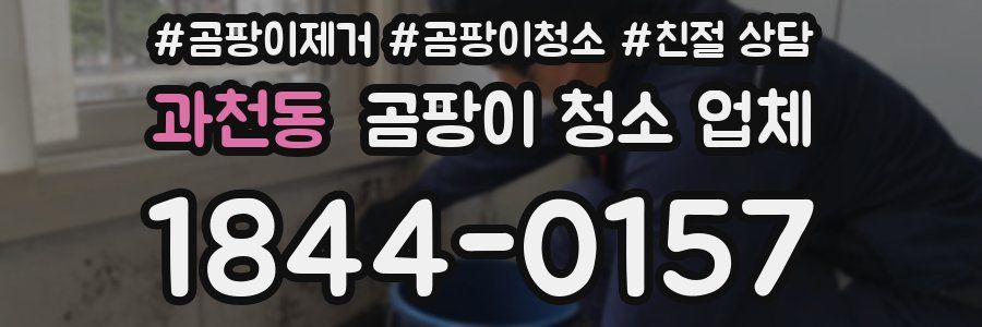 과천동 곰팡이 청소 업체