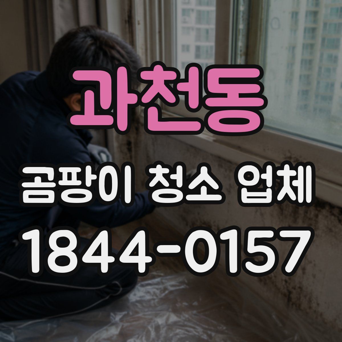 과천동 곰팡이 청소 업체