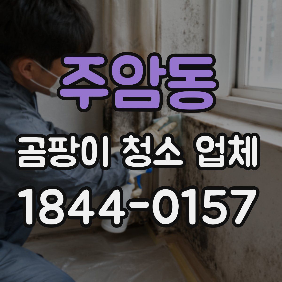 주암동 곰팡이 청소 업체
