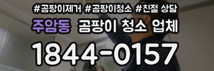 주암동 곰팡이 청소 업체