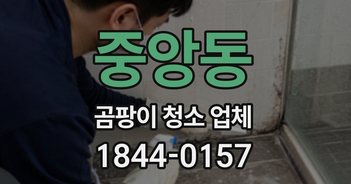 중앙동 곰팡이 청소 업체