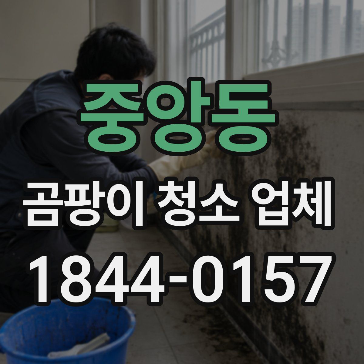 중앙동 곰팡이 청소 업체
