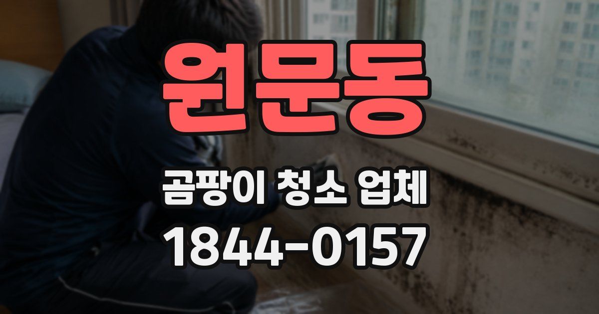 원문동 곰팡이 청소 업체
