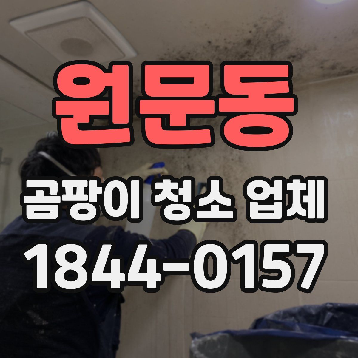 원문동 곰팡이 청소 업체