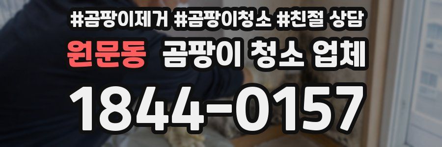 원문동 곰팡이 청소 업체