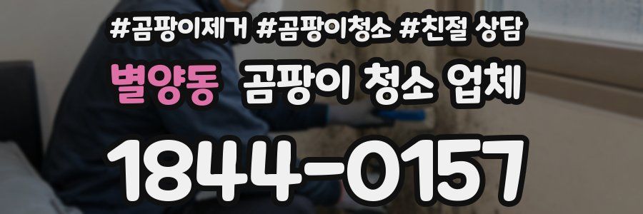 별양동 곰팡이 청소 업체