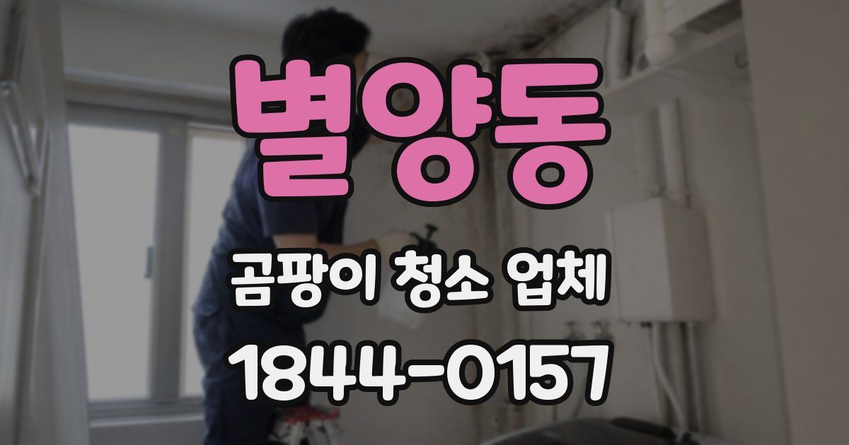 별양동 곰팡이 청소 업체