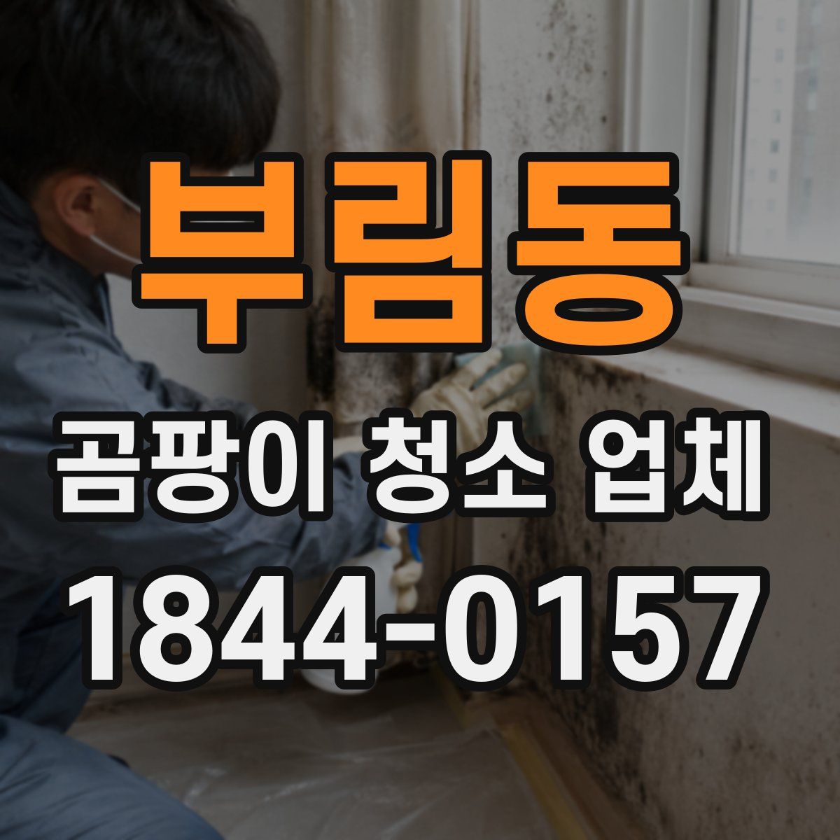 부림동 곰팡이 청소 업체