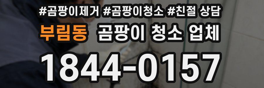 부림동 곰팡이 청소 업체