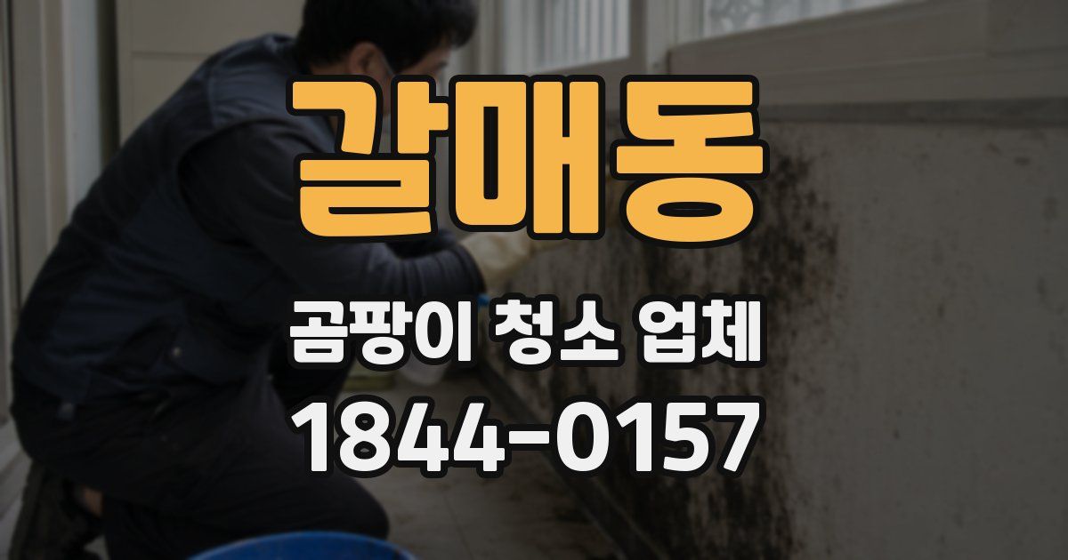 갈매동 곰팡이 청소 업체