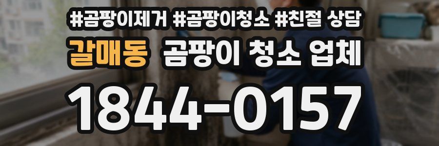 갈매동 곰팡이 청소 업체