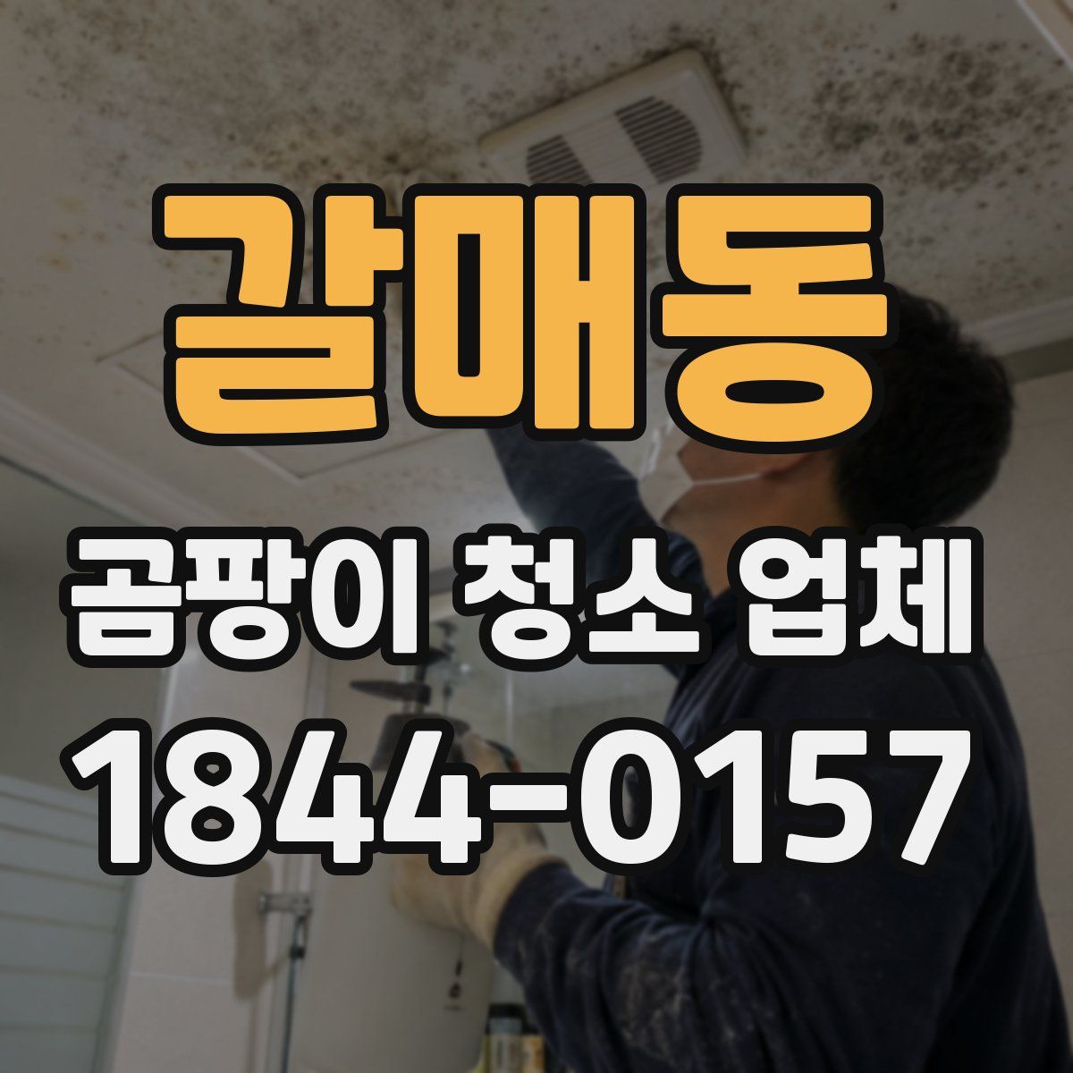 갈매동 곰팡이 청소 업체