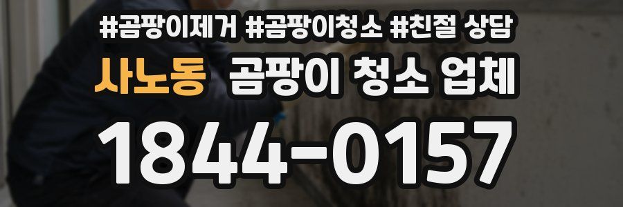 사노동 곰팡이 청소 업체