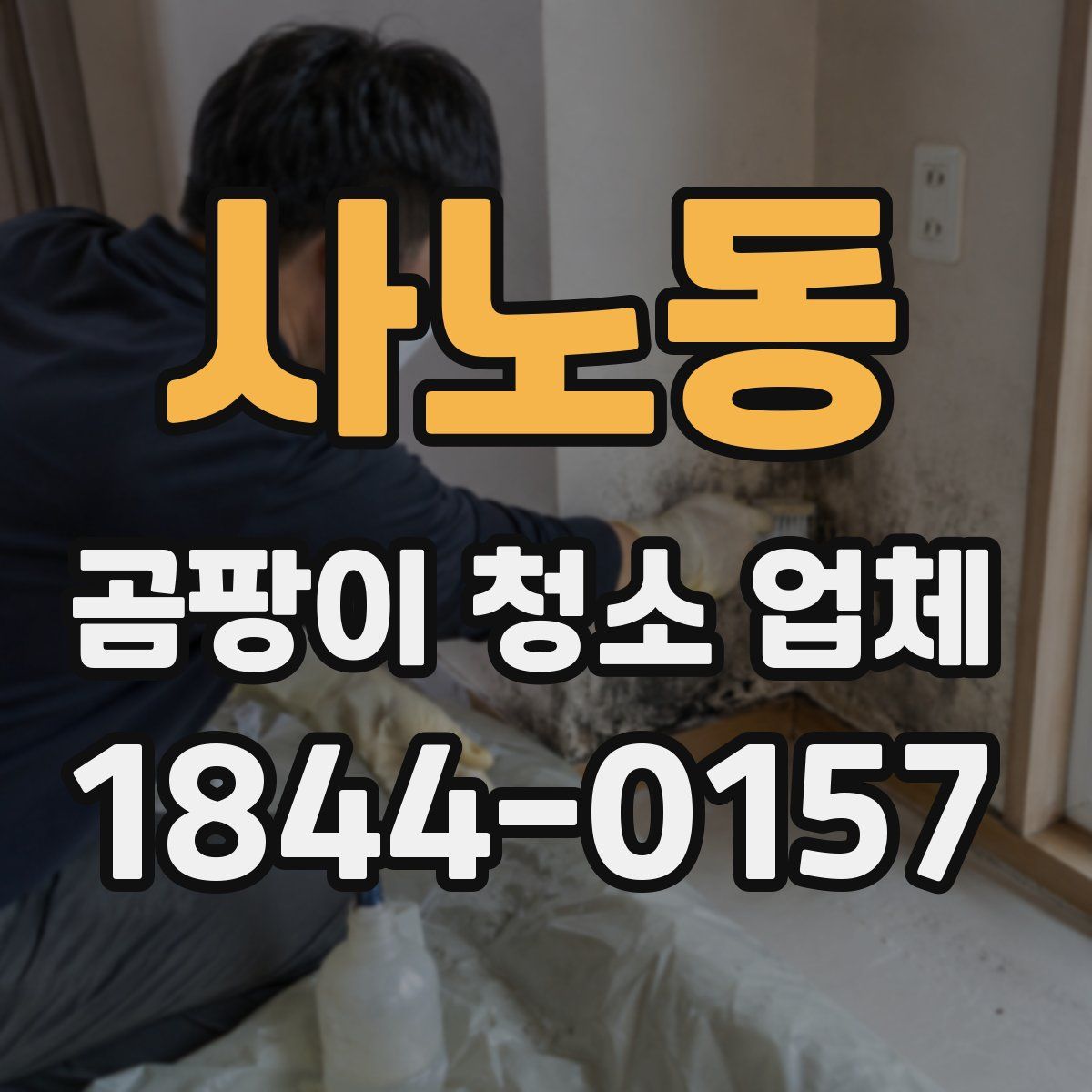 사노동 곰팡이 청소 업체
