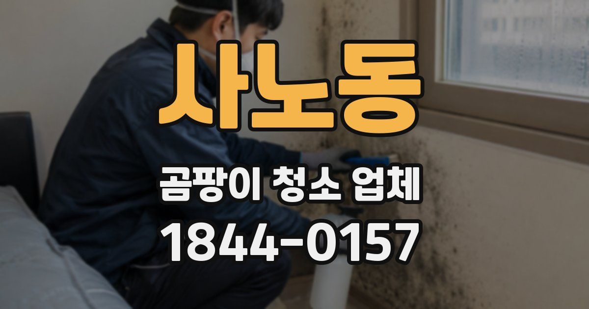사노동 곰팡이 청소 업체