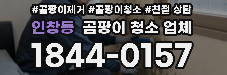 인창동 곰팡이 청소 업체