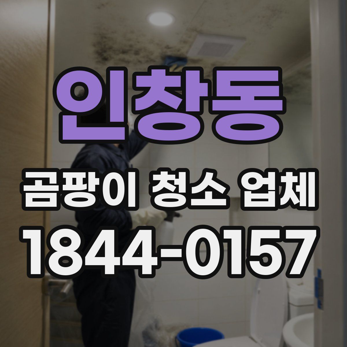 인창동 곰팡이 청소 업체