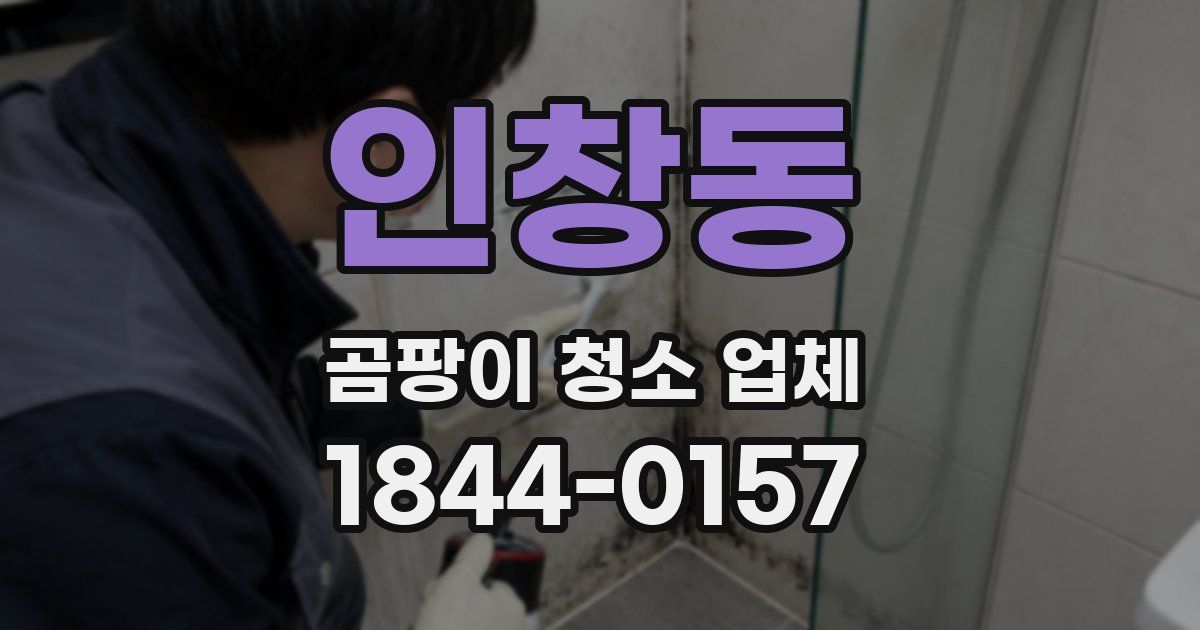 인창동 곰팡이 청소 업체