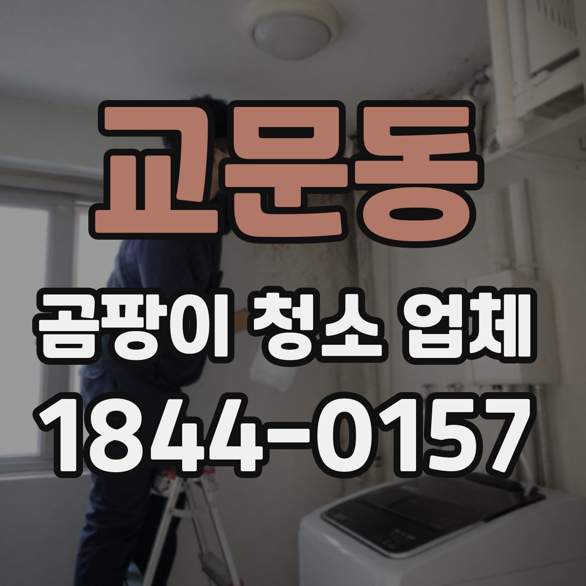 교문동 곰팡이 청소 업체