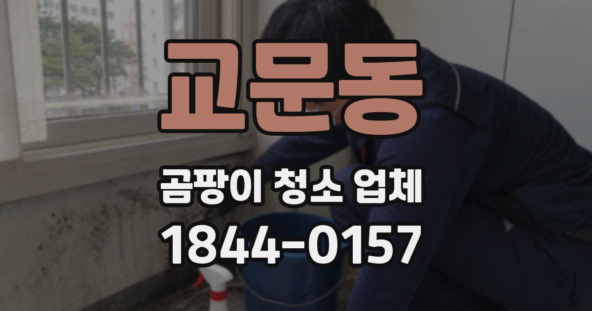 교문동 곰팡이 청소 업체