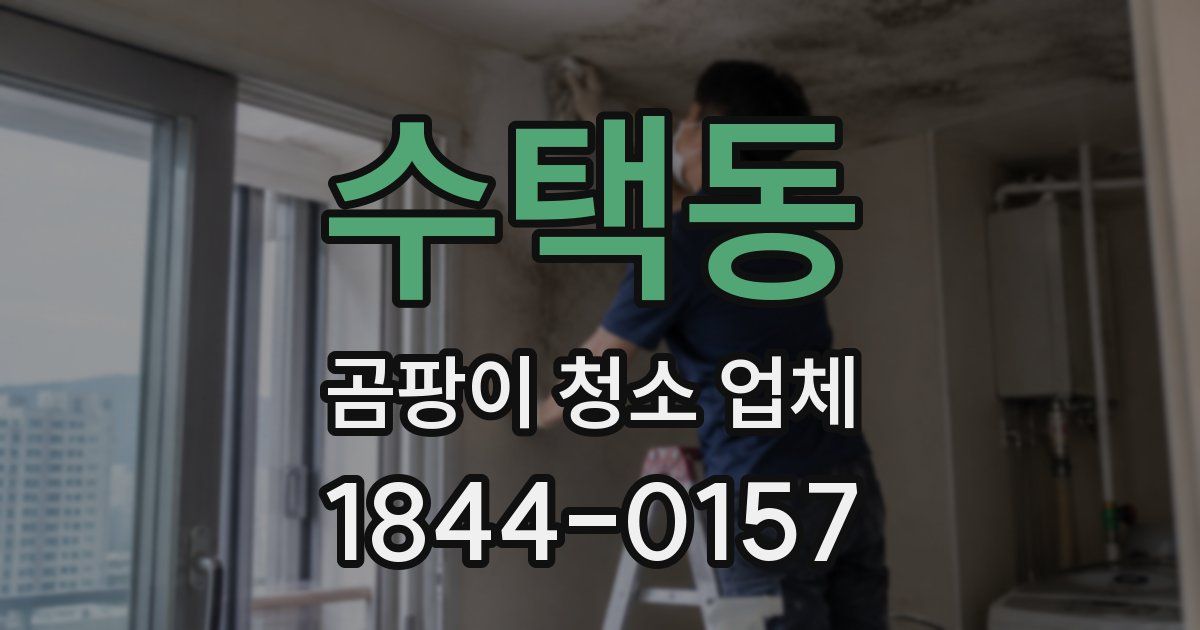 수택동 곰팡이 청소 업체
