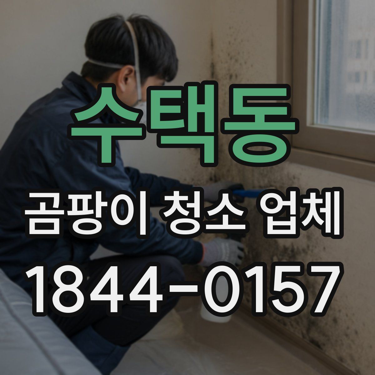 수택동 곰팡이 청소 업체